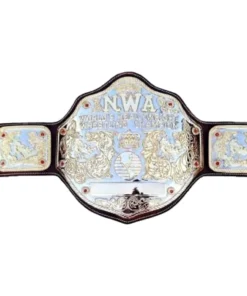 NWA Big 24K Gold Zinc Championship Belt Silver, Black One Size (2)