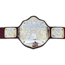 NWA Big 24K Gold Zinc Championship Belt Silver, Black One Size (2)