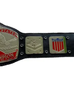 NWA World Tag Team Championship title belt 11 (1)