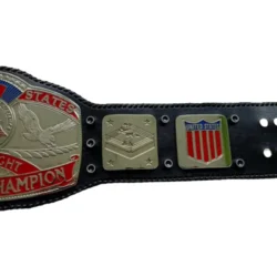 NWA World Tag Team Championship title belt 11 (1)