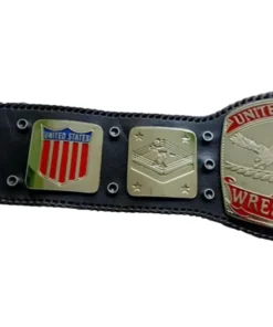 NWA World Tag Team Championship title belt 11 (2)