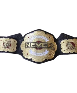 Never Openweight Championship Belt (3)