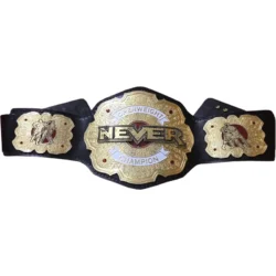 Never Openweight Championship Belt (3)