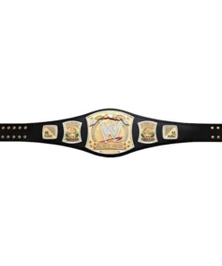 Spinner Champion Belts (1)