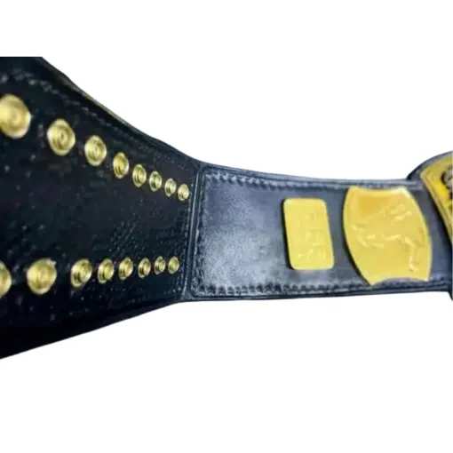 The Atlantic Pro Wrestling Championship Belt (1)