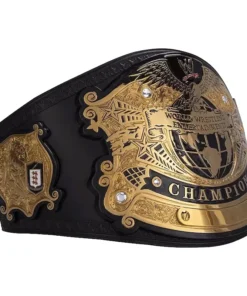 WWE Undisputed Customized Championship Title Belt (1)