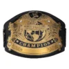 WWE Undisputed Customized Championship Belt