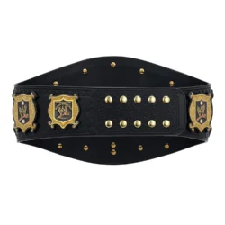 WWE Undisputed Championship Title Belt