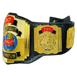 Wcw Television World Championship Belt (1)