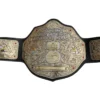 World Fantasy Championship Belt – Big Gold Belt Edition