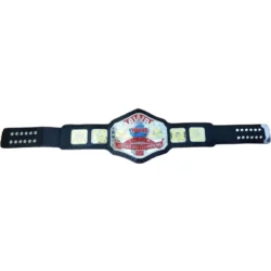 AWA World Tag Team Heavyweight Wrestling Championship Title Belt (4)