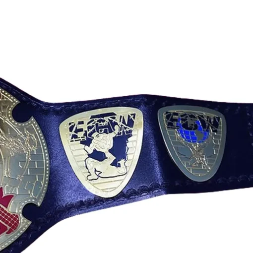 ECW Television Championship Belt (2)