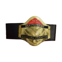 ECW World Television Championship Adult Belt