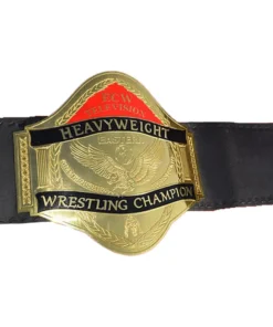 ECW World Television Championship Adult Belt (3)