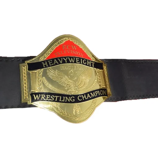 ECW World Television Championship Adult Belt (3)