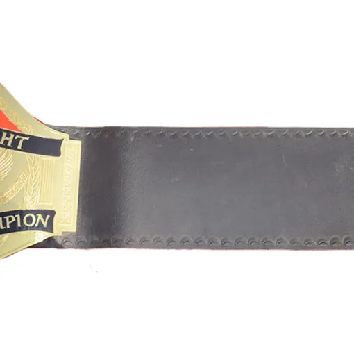 ECW World Television Championship Adult Belt (4)