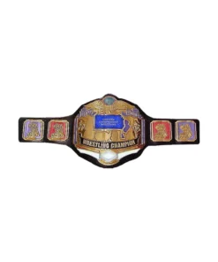 ECW Wrestling Championship Title Belt