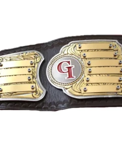 GI-Pride Fantasy Football Champion Belt (2)