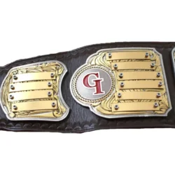 GI-Pride Fantasy Football Champion Belt (2)