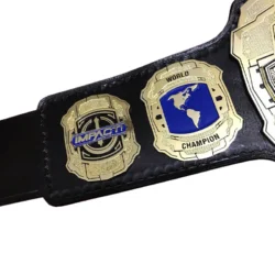 Impact World Championship Heavyweight Wrestling Title Belt (2)