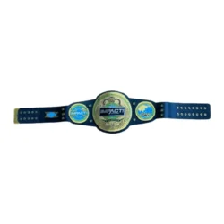 Impact World Championship Belt 2017 (TNA) (2)