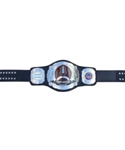 Lowered Expectations Fantasy Football Championship Belt (2)