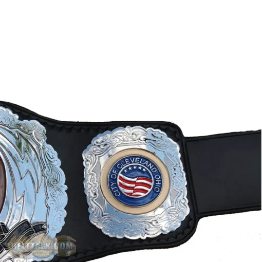 Lowered Expectations Fantasy Football Championship Belt (3)