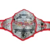 TNA World Tag Team Wrestling Championship Belt (2024)