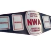 NWA GEORGIA Tag Team Wrestling Championship Title Belt