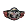 NWA International Tag Team Championship Belt