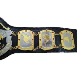 NWA International Tag Team Championship Belt (3)