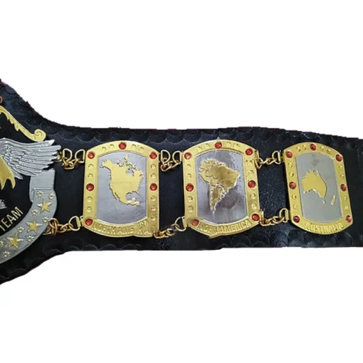 NWA International Tag Team Championship Belt (3)