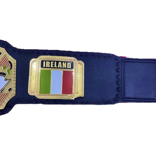 NWA Ireland Heavyweight Wrestling Championship Belt (1)