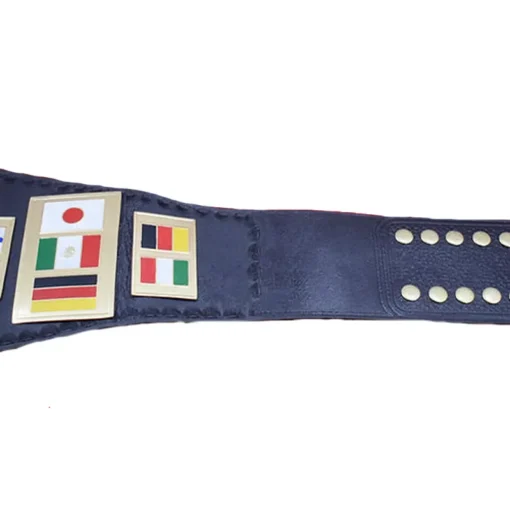 NWA Junior Heavyweight Championship Belt (2)