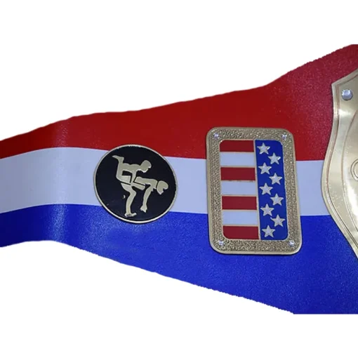 NWA National Heavyweight Wrestling Championship Belt (3)