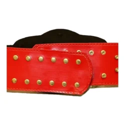 NWA New Red Wrestling Championship Belt (2)