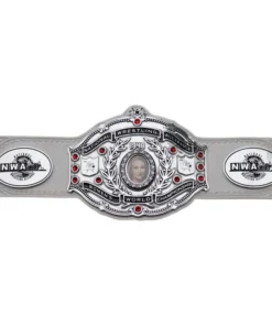 NWA World Women’s Championship Belt (3)