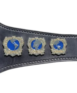 NWA Worlds Heavyweight Championship Title Belt (2)