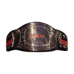 ROH PURE TITLE CHAMPIONSHIP BELT