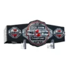 ROH Six Man Tag Team Championship Belt