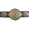 ROH Six Man World Tag Team Champions Wrestling Belt