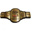 ROH World Heavyweight Championship Belt