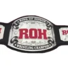 ROH World championship title belt