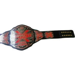 TNA IMPACT X Division Wrestling Championship Title Belt (1)