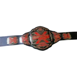 TNA IMPACT X Division Wrestling Championship Title Belt (4)