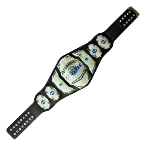 TNA Impact Knockout Version Wrestling Championship Title Belt (2)