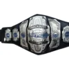 TNA Impact Knockouts Championship Title Belt - custom wrestling belts