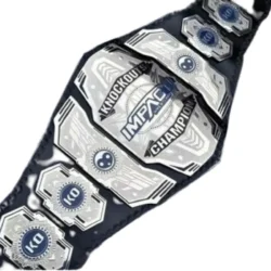 TNA Impact Knockouts Championship Title Belt (4)