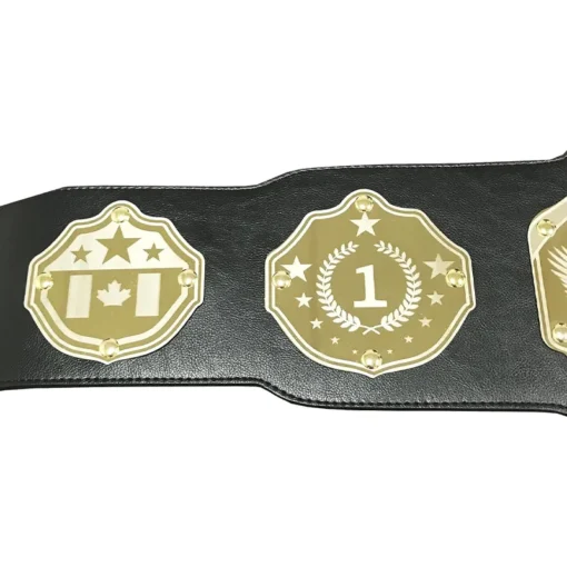 Undisputed Belts Universal Championship Belt - Custom Banners (4)