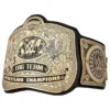 WWE Tag Team Championship Belt